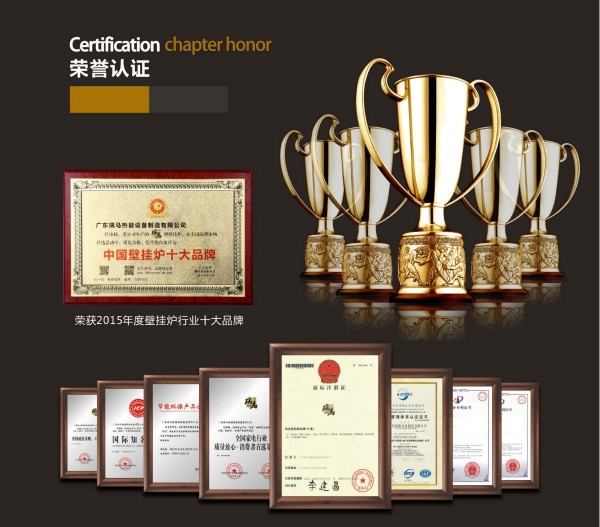 瑞馬燃氣壁掛爐，“代”您開創(chuàng)億萬富豪44